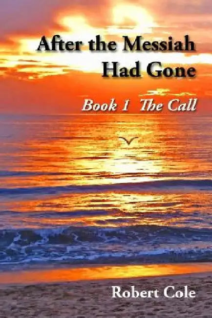 After the Messiah Had Gone by Robert Cole