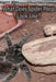 What Does Spider Poop Look Like? by N. a. Cauldron