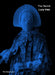The Hermit by Lucy Ives