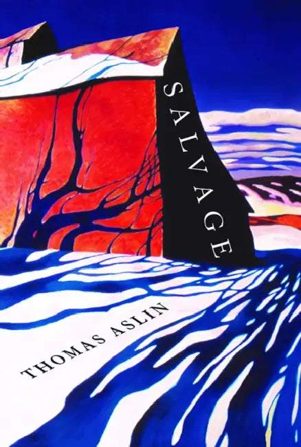 Salvage by Thomas Aslin