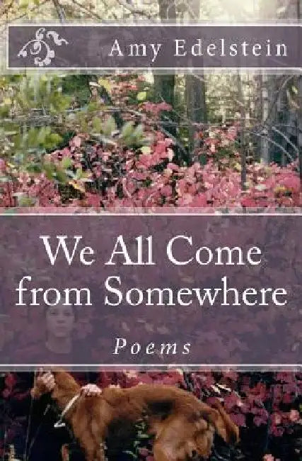 We All Come from Somewhere by Amy Edelstein