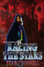 Racing the Stars: (Sage and the Arcane Order #2) by Sean O'Donnell