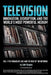 Television: Innovation, Disruption, and the World's Most Powerful Medium by Seth Shapiro