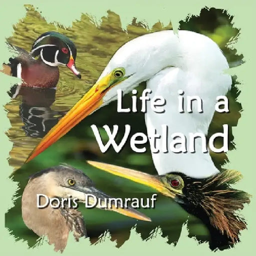Life In A Wetland by Doris Dumrauf