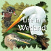 Life In A Wetland by Doris Dumrauf
