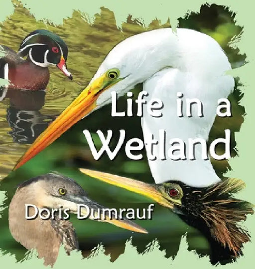 Life In A Wetland by Doris Dumrauf