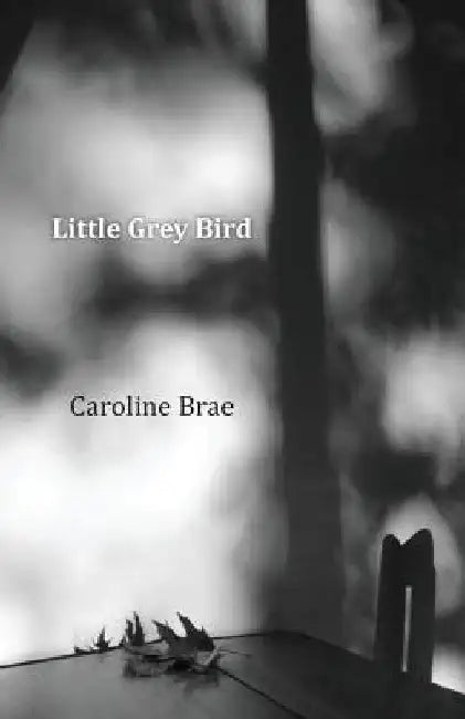 Little Grey Bird by Caroline Brae