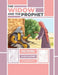 The Widow and the Prophet: An Easy Eevreet Story by Miiko Shaffier