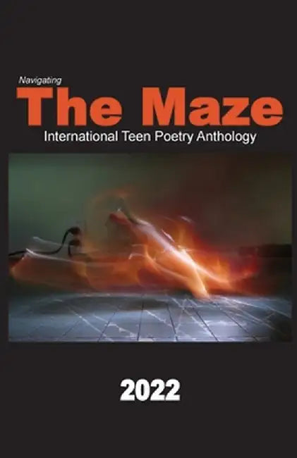 Navigating the Maze 2022 by Anita Stienstra
