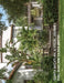 Quinta Mazatlan: A Visual Journey by Pino Shah, Eileen Mattei, Carrie Rood