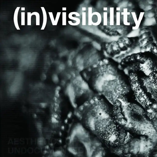 (In)Visibility: Aesthetics of Undocumentedness by Fowler Museum at Ucla