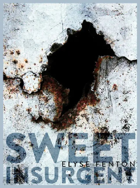 Sweet Insurgent by Elyse Fenton