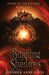 Burning Shadows: Order of the Krigers, Book 2 by Jennifer Anne Davis