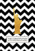 The Constitution of The United States of America: Pocket Book by Pocket Book Constitutions