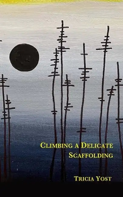 Climbing a Delicate Scaffolding by Tricia Yost