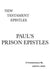 Paul's Prison Epistles: A Critical & Exegetical Commentary by Gareth L. Reese