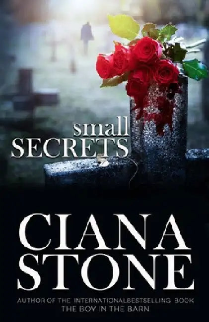 Small Secrets by Ciana Stone
