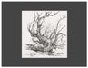 Charles Parson Drawing by Frederick Ramey