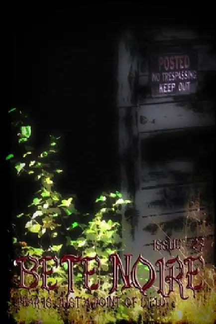 Bete Noire issue #27 by Jennifer L. Gifford