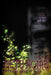 Bete Noire issue #27 by Jennifer L. Gifford