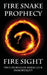 Fire Sight: True Stories of Miracles & Immortality by Jason Nealon M. D.