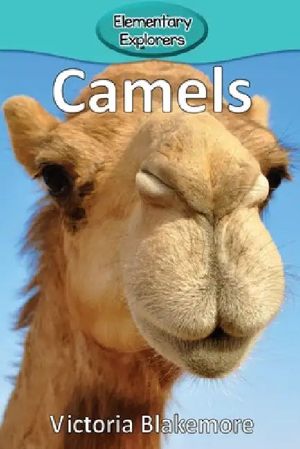 Camels by Blakemore, Victoria