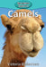 Camels by Blakemore, Victoria