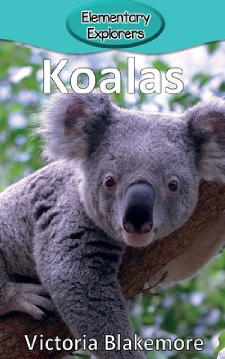 Koalas by Victoria Blakemore