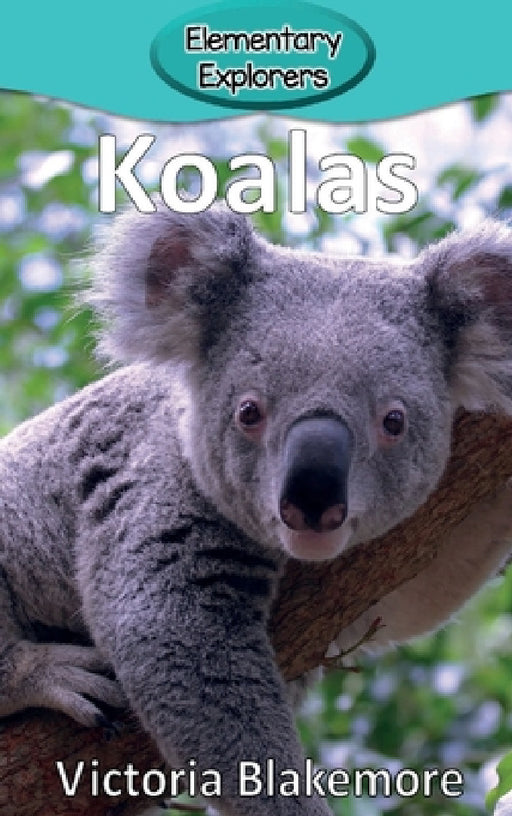 Koalas by Victoria Blakemore