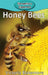 Honey Bees by Victoria Blakemore