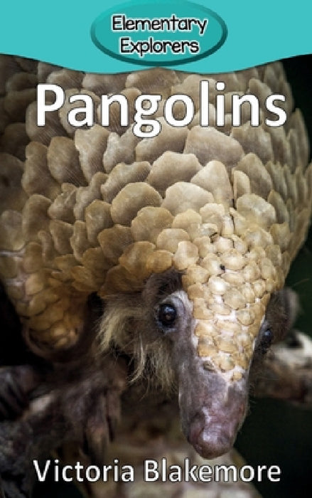 Pangolins by Victoria Blakemore