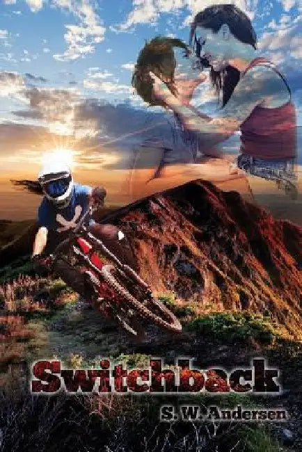 Switchback by S. W. Andersen
