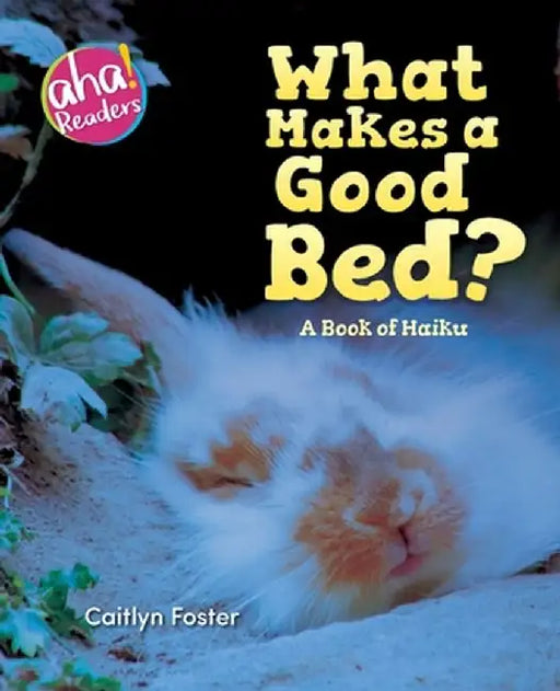 What Makes a Good Bed?: A book of Haiku by Caitlyn Foster