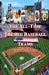 The All-Time Themed Baseball Teams - Volume 1 by Paul Steinman