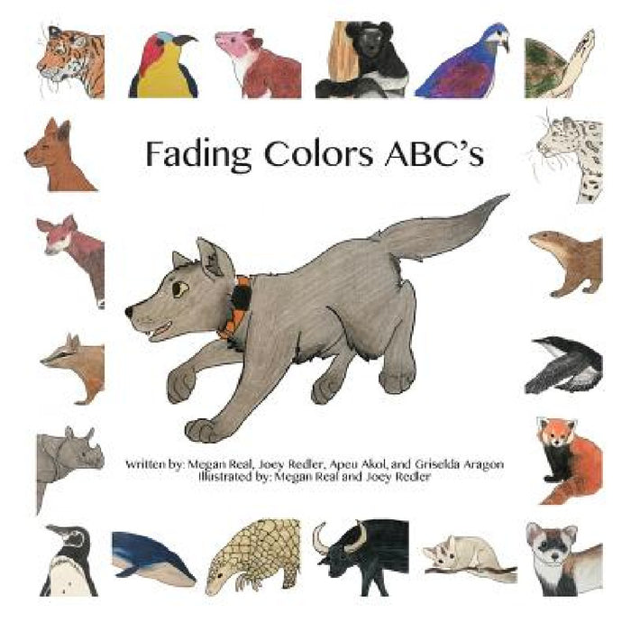 Fading Colors ABC's by Megan Real, Joey Redler