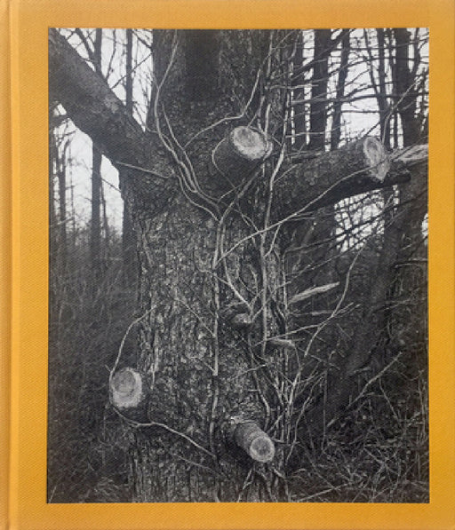 Tim Carpenter: Christmas Day, Bucks Pond Road by Tim Carpenter