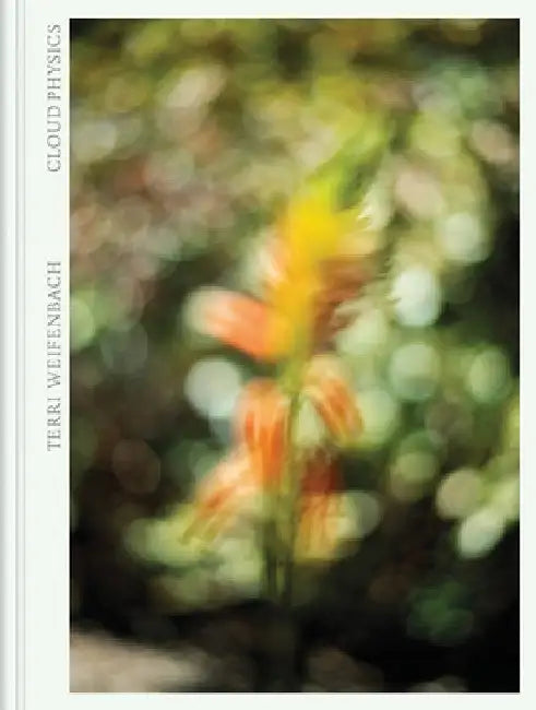 Terri Weifenbach: Cloud Physics by Terri Weifenbach