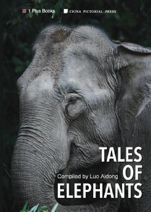 Tales of Elephans by Luo Aidong