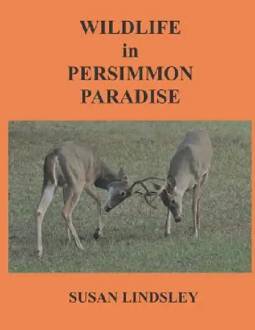 Wildlife in Persimmon Paradise by Susan Lindsley