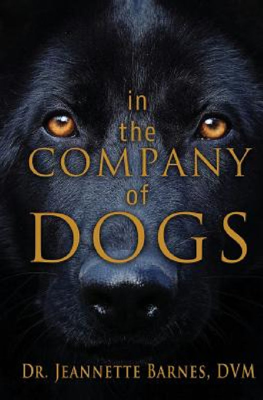 In the Company of Dogs by Jeannette Barnes