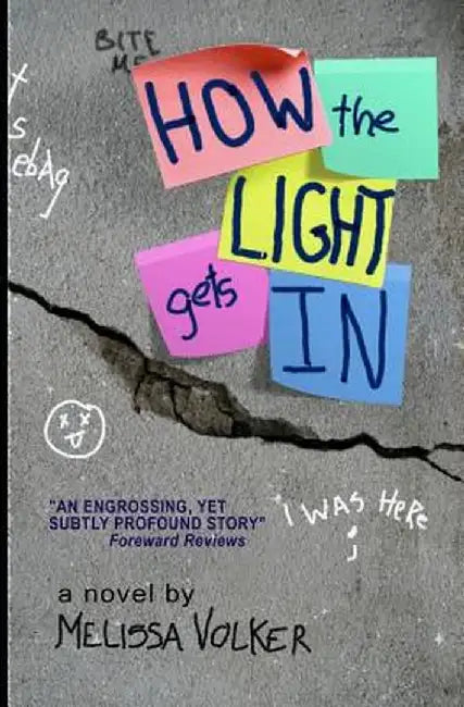How the Light Gets in by Melissa Volker