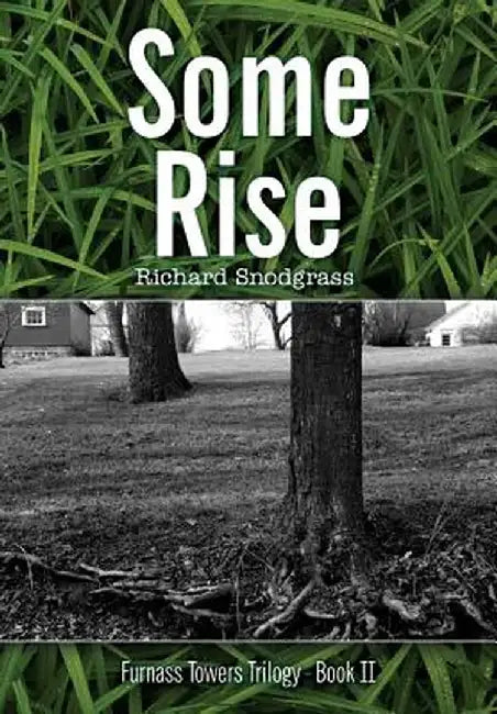 Some Rise by Richard Bruce Snodgrass