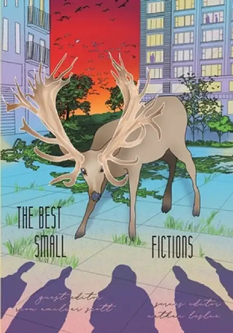 The Best Small Fictions Anthology 2021 by Nathan Leslie