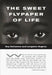 Roy Decarava and Langston Hughes: The Sweet Flypaper of Life by Roy Decarava