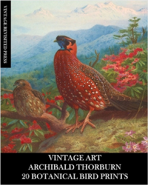 Vintage Art: Archibald Thorburn: 20 Botanical Bird Prints: Ephemera for Framing, Home Decor, Collage and Decoupage by Vintage Revisited Press