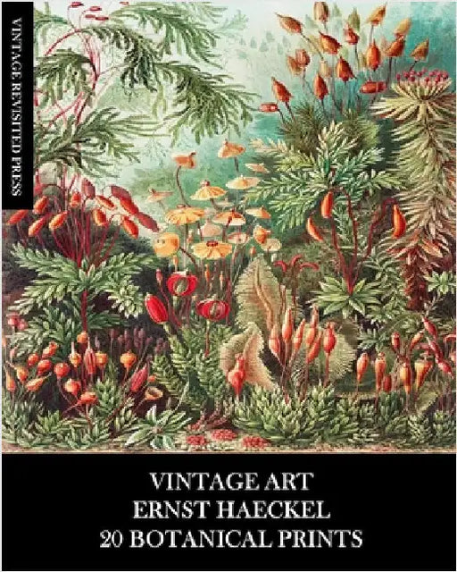 Vintage Art: Ernst Haeckel: 20 Botanical Prints: Flora and Fauna Ephemera for Framing, Collage and Decoupage by Press, Vintage Revisited