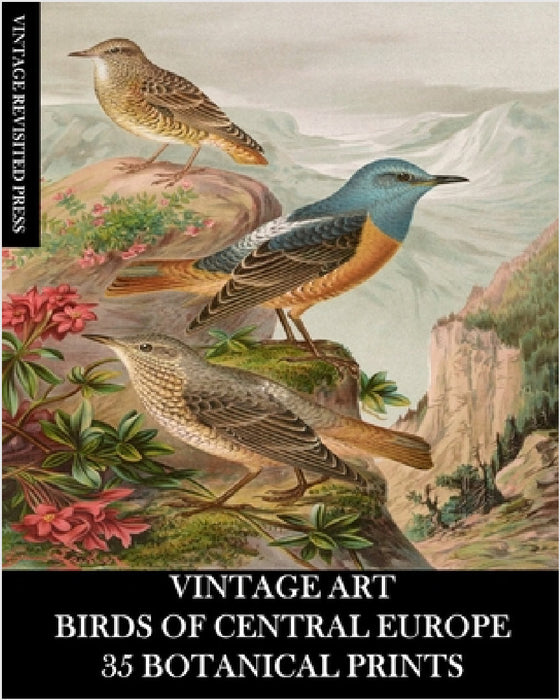 Vintage Art: Birds of Central Europe: 35 Botanical Prints by Vintage Revisited Press