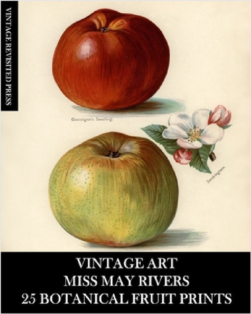 Vintage Art: Miss May Rivers: 25 Botanical Fruit Prints: Ephemera for Framing, Collage, Decoupage and Junk Journals by Vintage Revisited Press