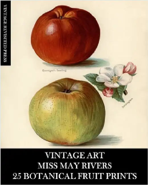 Vintage Art: Miss May Rivers: 25 Botanical Fruit Prints: Ephemera for Framing, Collage, Decoupage and Junk Journals by Press, Vintage Revisited