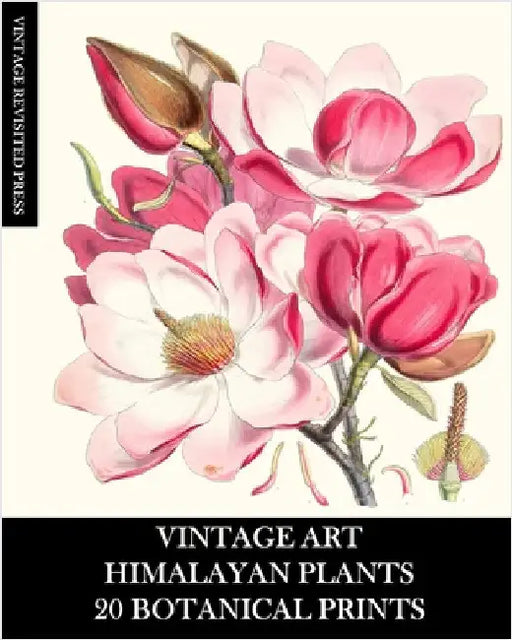 Vintage Art: Himalayan Plants 20 Botanical Prints: Ephemera for Framing, Collage, Decoupage and Junk Journals by Press, Vintage Revisited